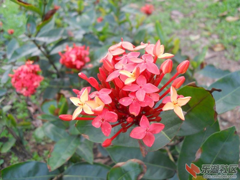 DSCN2215.JPG
