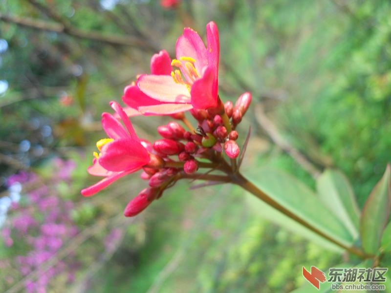DSCN2230.JPG