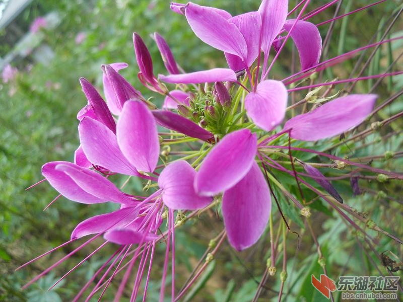 DSCN2220.JPG