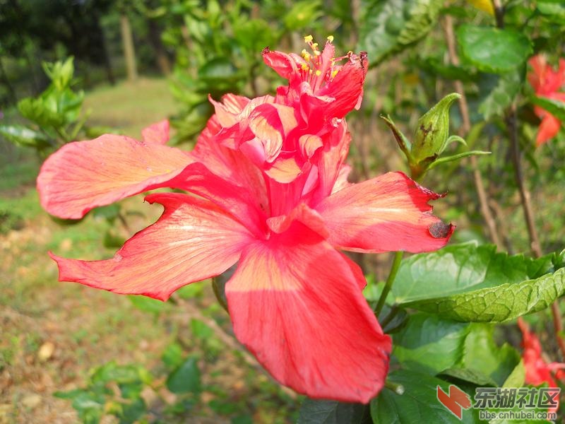DSCN2227.JPG