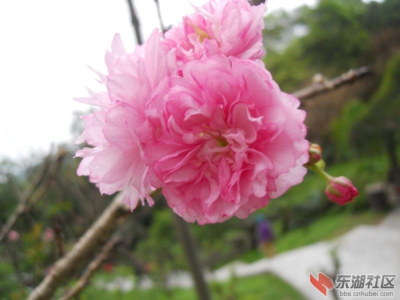 DSCN2257.JPG
