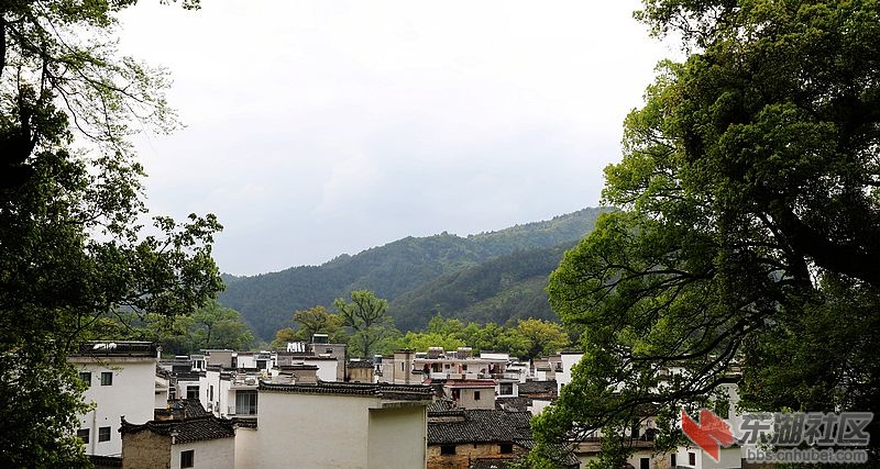 婺源2.jpg