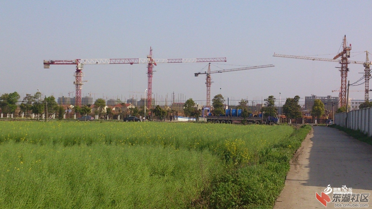 胡集塔吊2.jpg