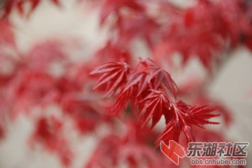 nEO_IMG_DSC_1706.jpg