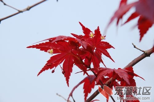 nEO_IMG_DSC_1822.jpg