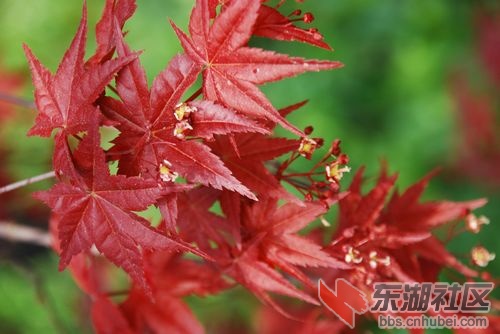 nEO_IMG_DSC_1825.jpg