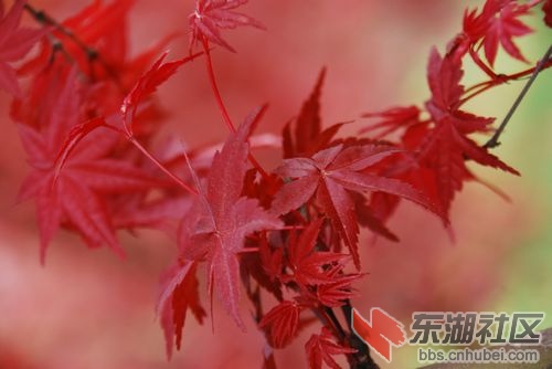 nEO_IMG_DSC_1830.jpg