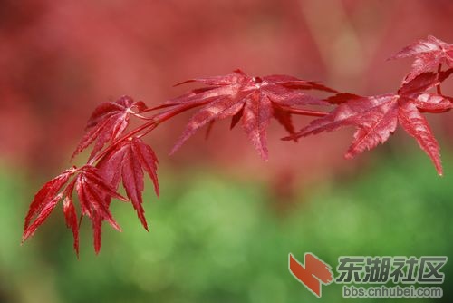 nEO_IMG_DSC_1831.jpg