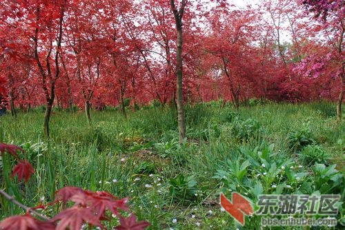 nEO_IMG_DSC_1851.jpg