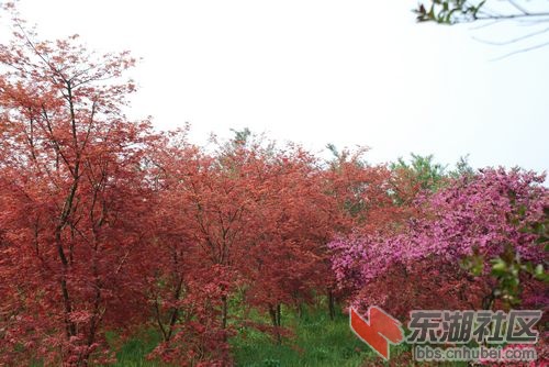 nEO_IMG_DSC_1854.jpg