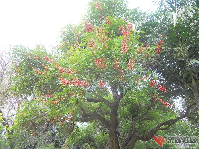 DSCN2217.JPG