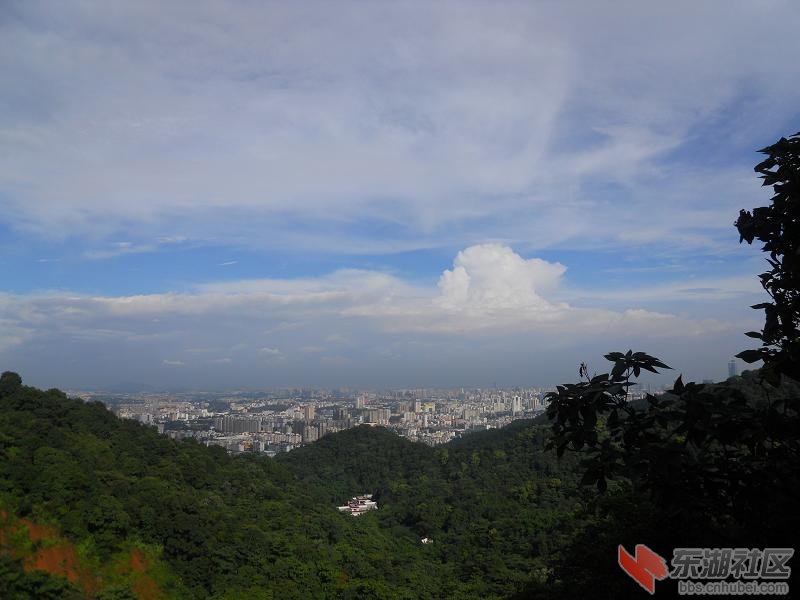 DSCN9377.JPG