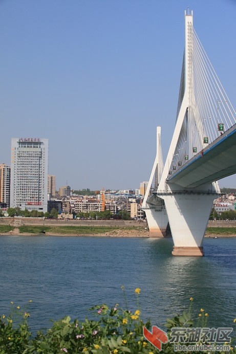 58.jpg