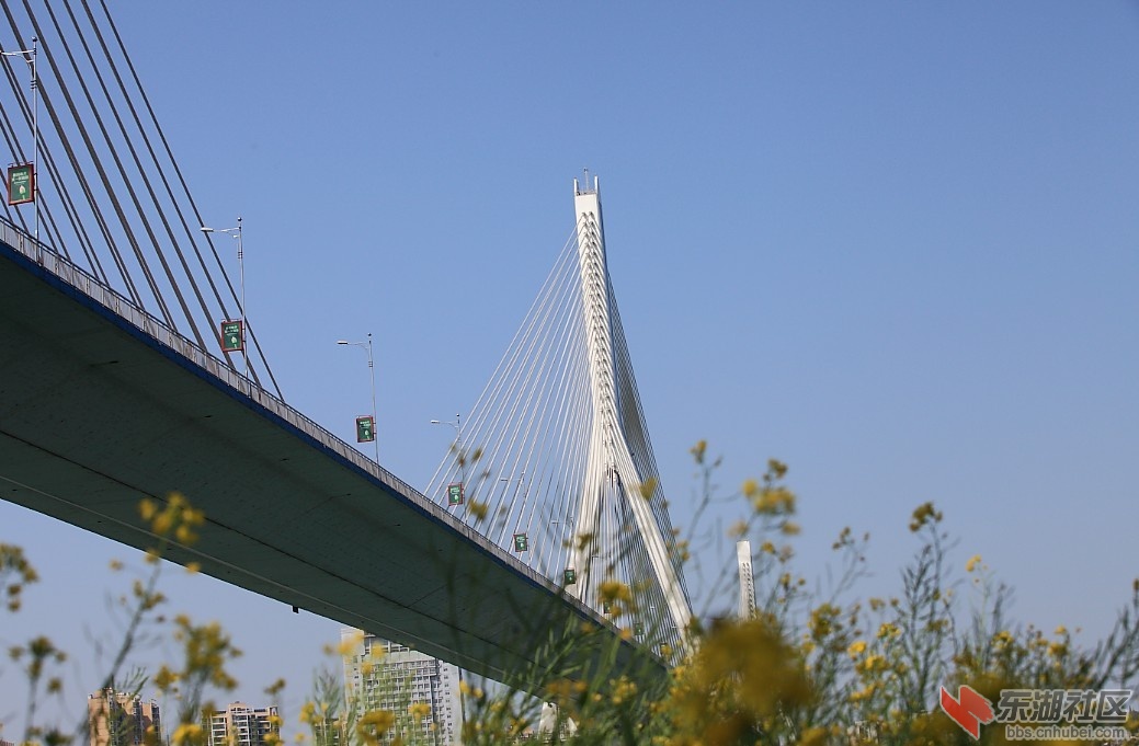 65.jpg