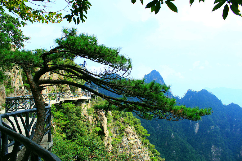 大明山20.jpg