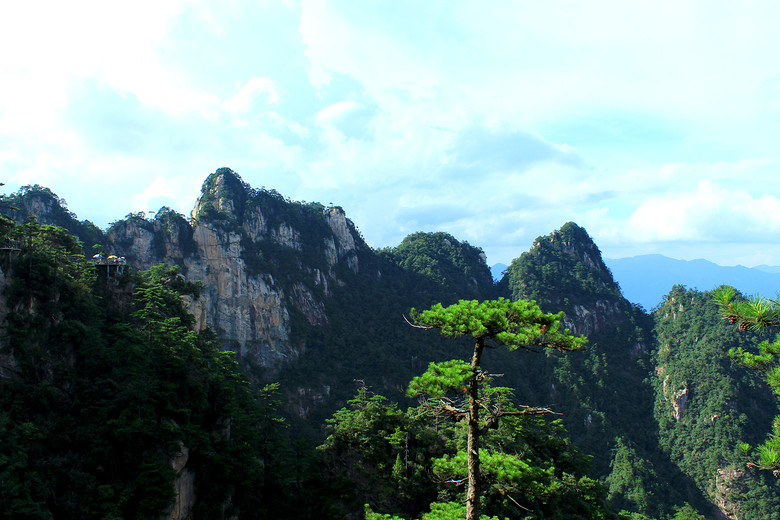 大明山28.jpg