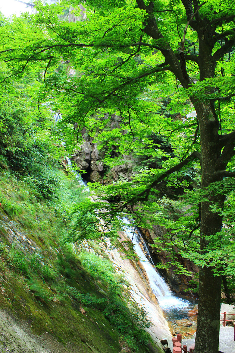大明山35.jpg