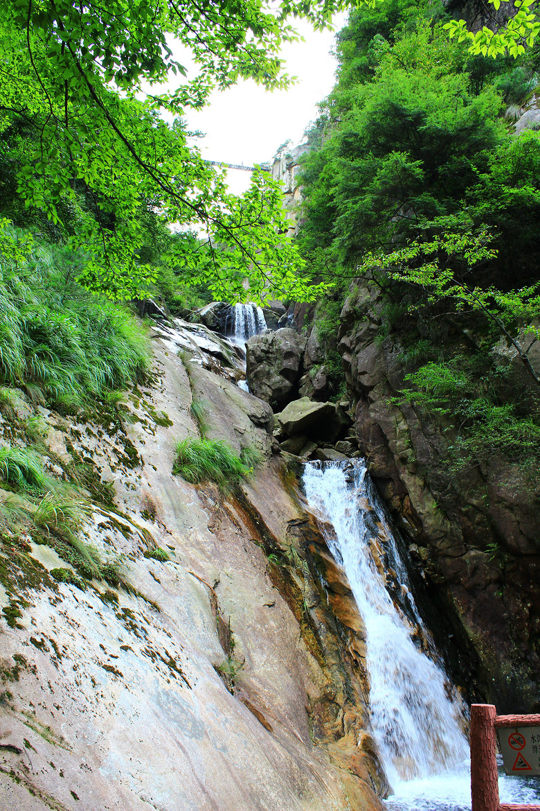大明山37.jpg