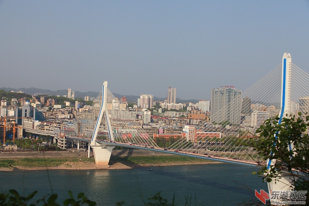 106.jpg