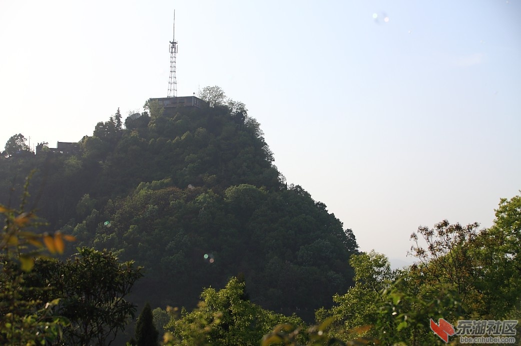 114.jpg