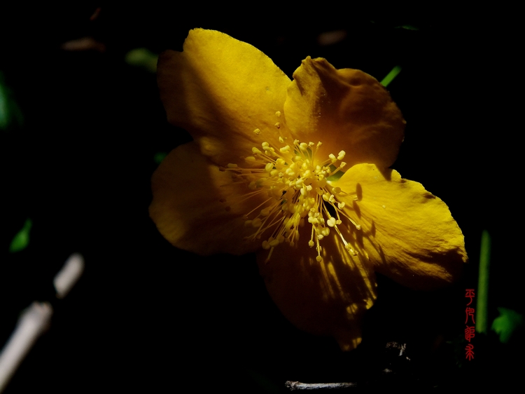 DSCF5619_副本.jpg
