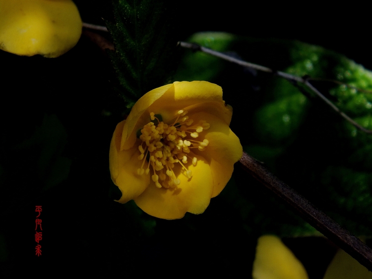 DSCF5655_副本.jpg