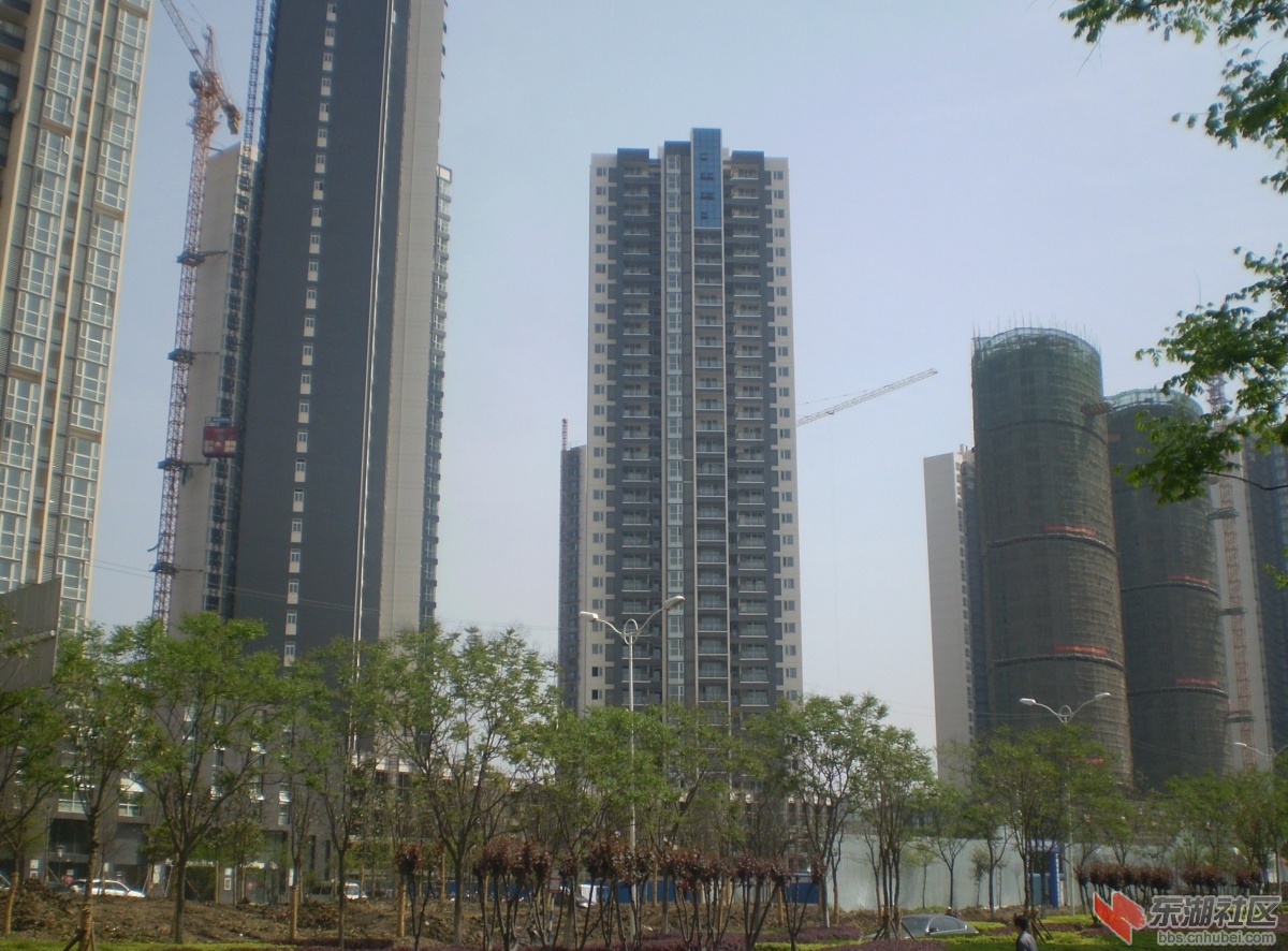 P4071055.JPG