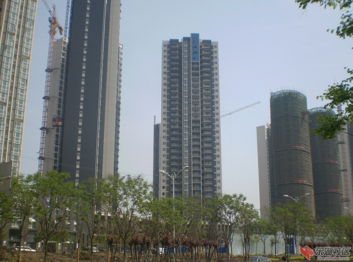 P4071055.JPG