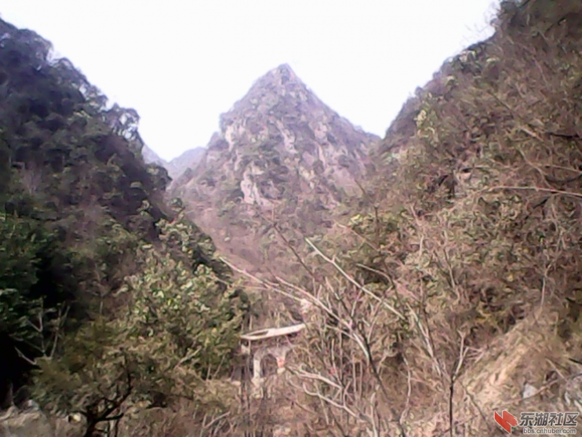 IMG10299.jpg