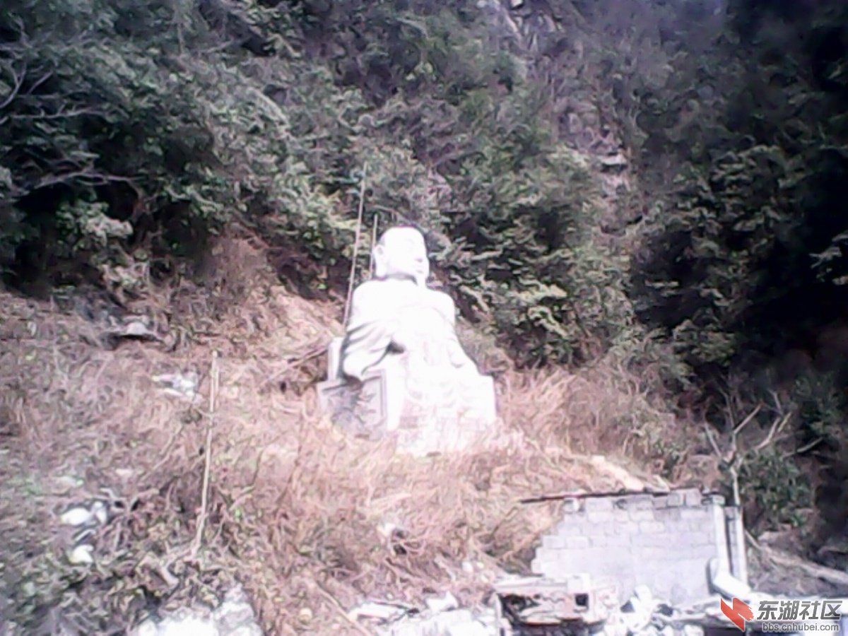 IMG10295.jpg