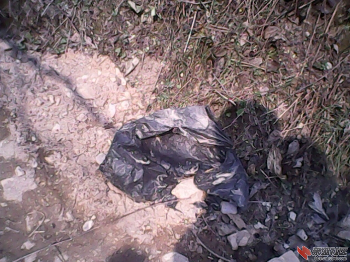 IMG10294.jpg