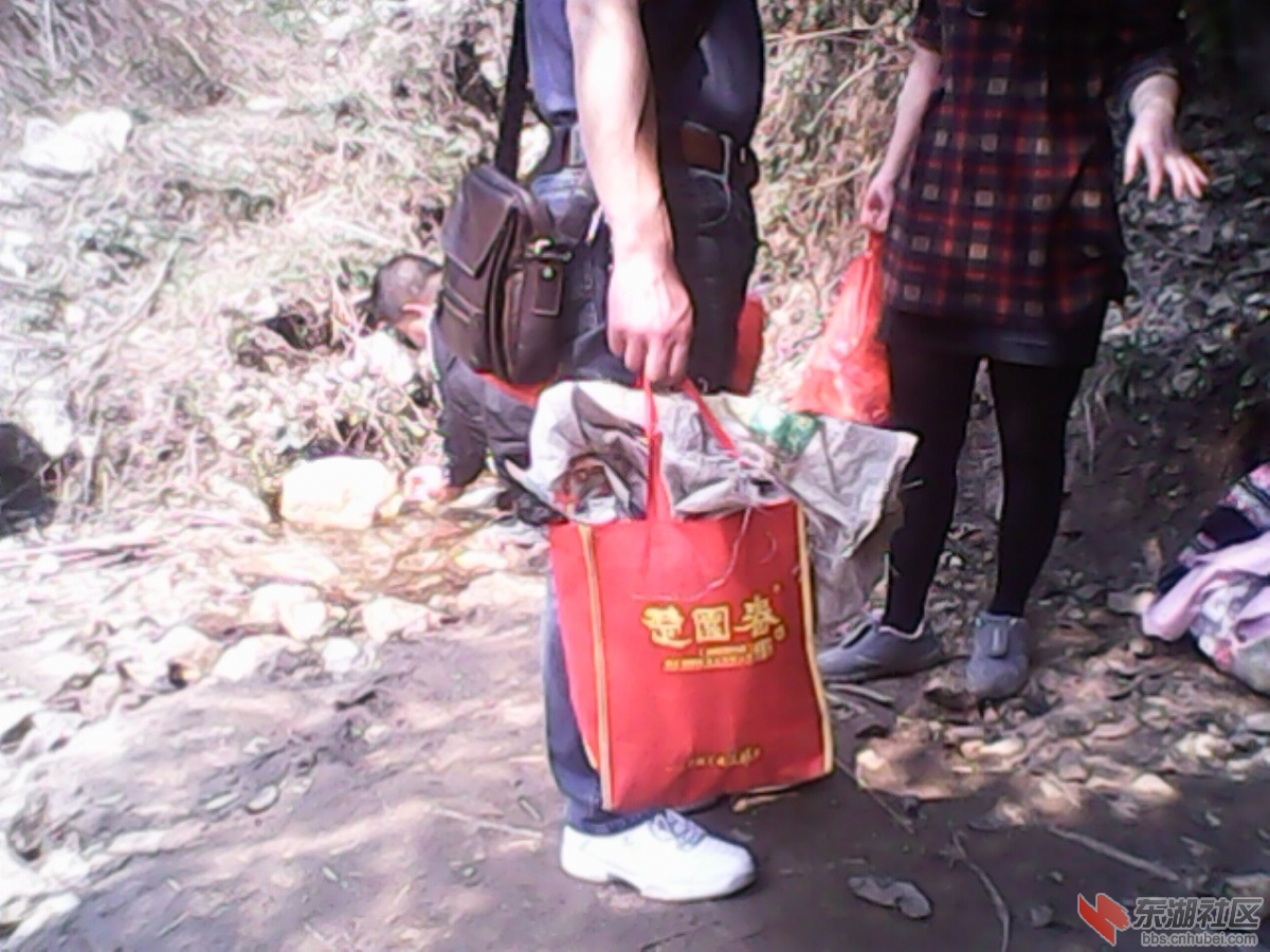 IMG10288.jpg