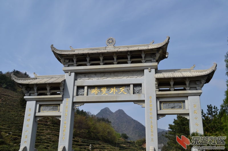DSC_0128_副本_副本.jpg