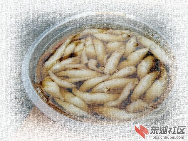 P1680860.JPG