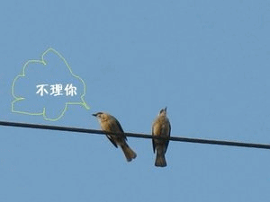 未命名123.gif