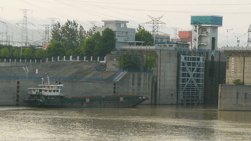 P1450491_副本.gif