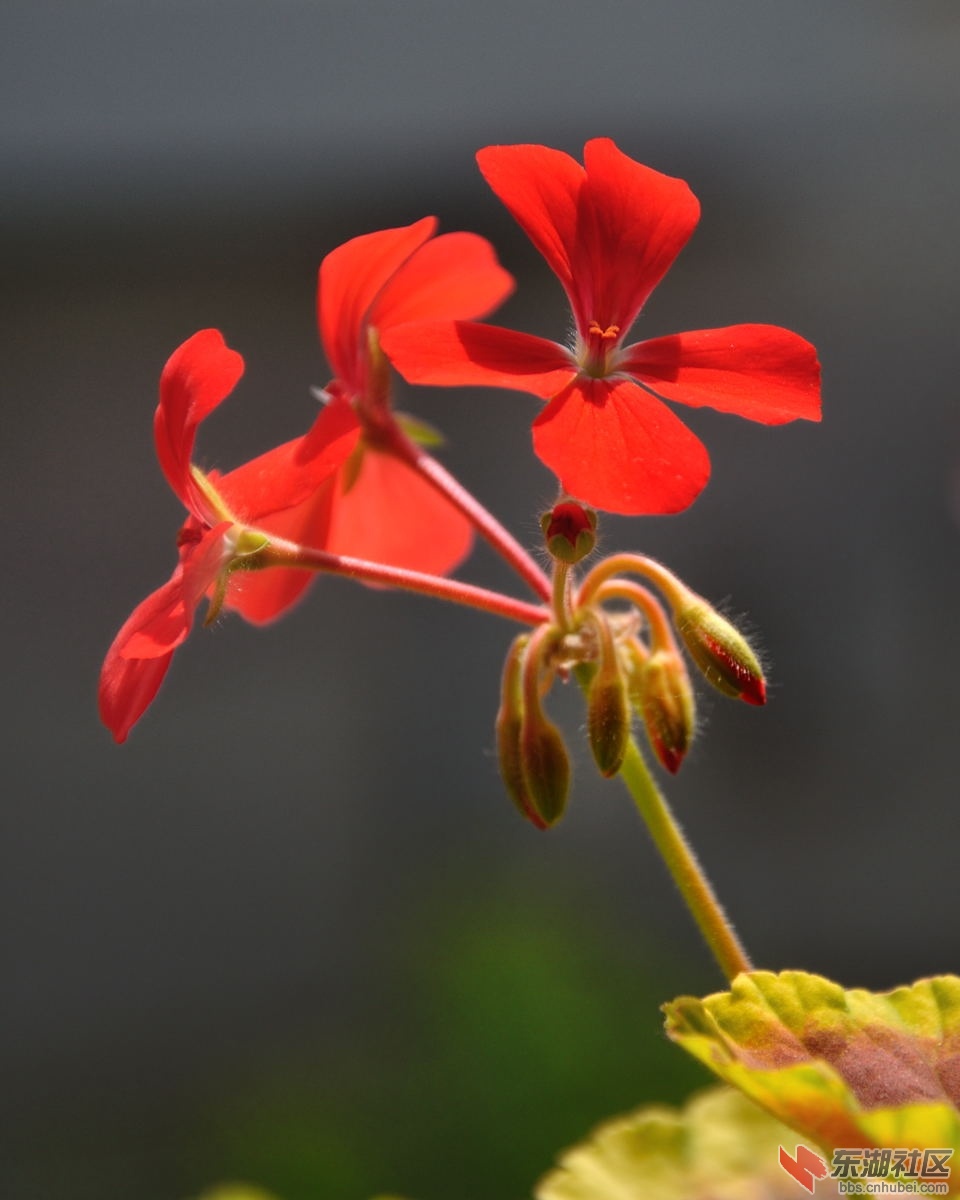 DSC_0125-j.jpg