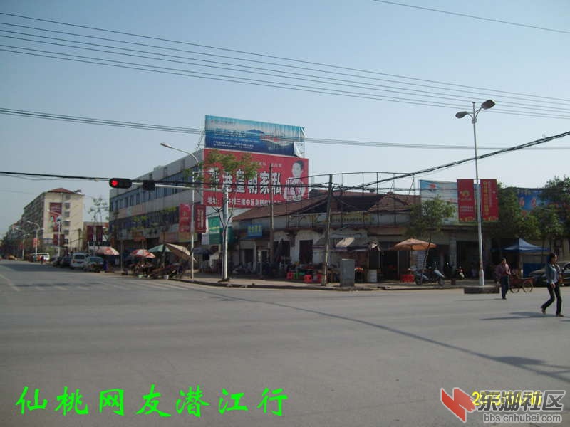 ALIM2897.jpg