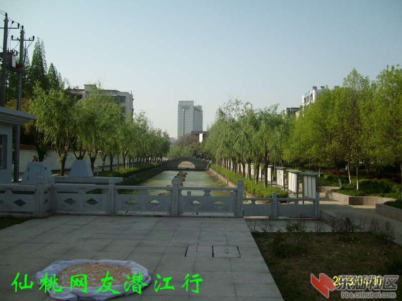 ALIM2905.jpg