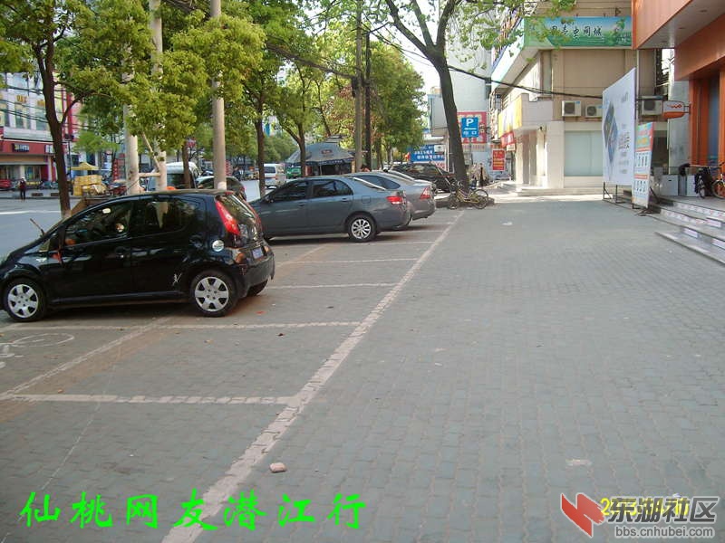 ALIM2925.jpg
