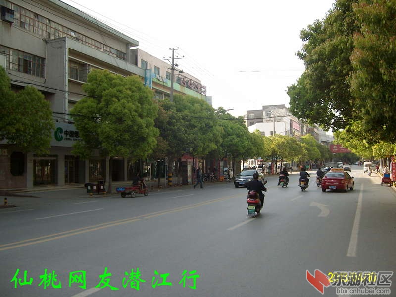 ALIM2933.jpg