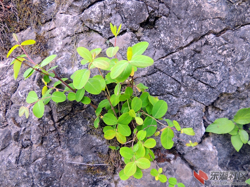 照片 044_副本.jpg