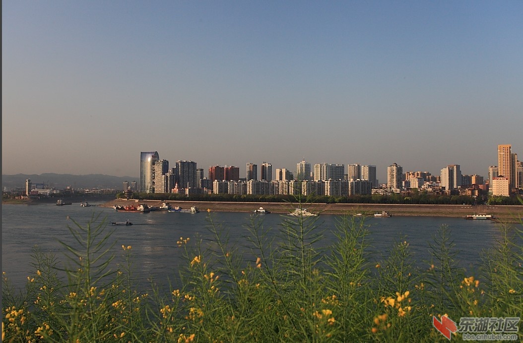 87.jpg