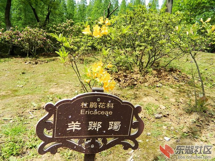 照片 049.jpg