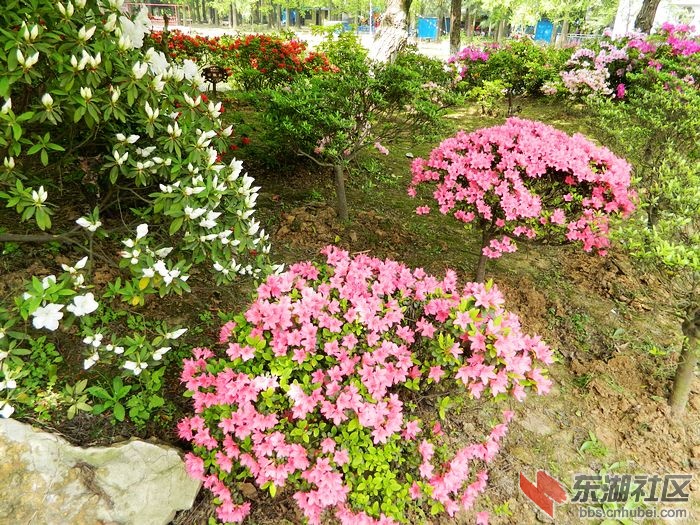 照片 051.jpg