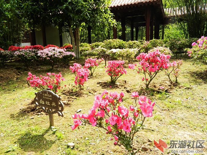 照片 054.jpg