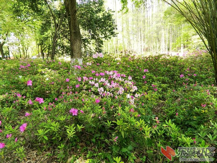 照片 074.jpg