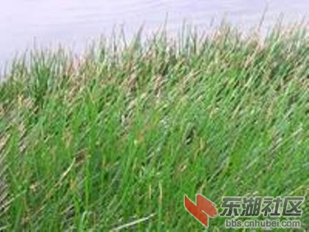 u=388458869,128218588&fm=21&gp=0.jpg