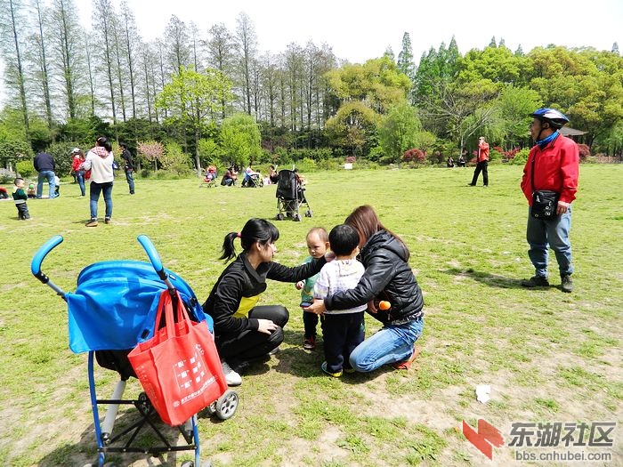 照片 095.jpg