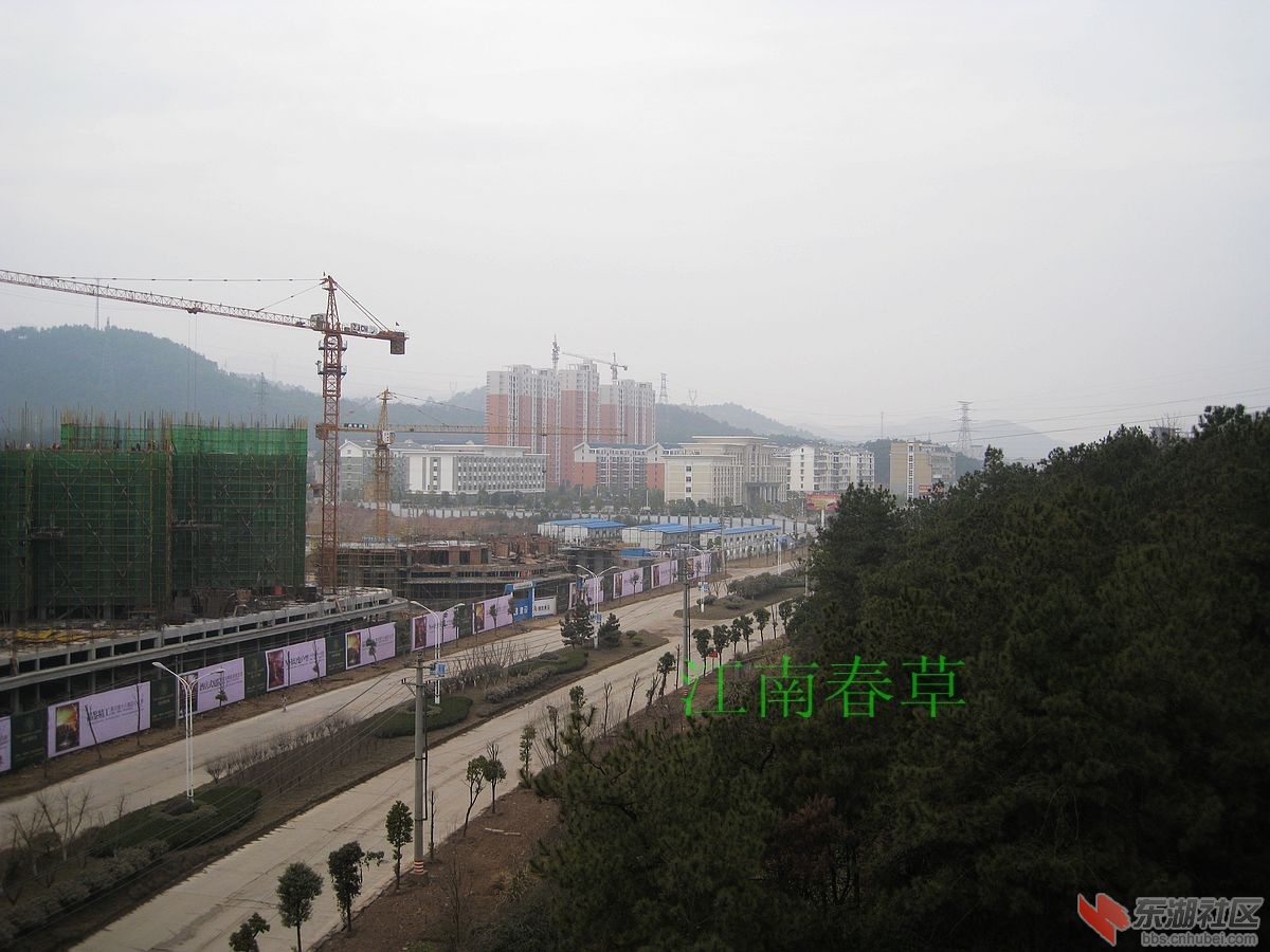 nEO_IMG_IMG_1608.jpg